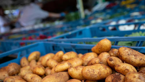 Zentralplanerisches Scheitern: Lukaschenkos Preiskontrolle lässt Kartoffeln verschwinden