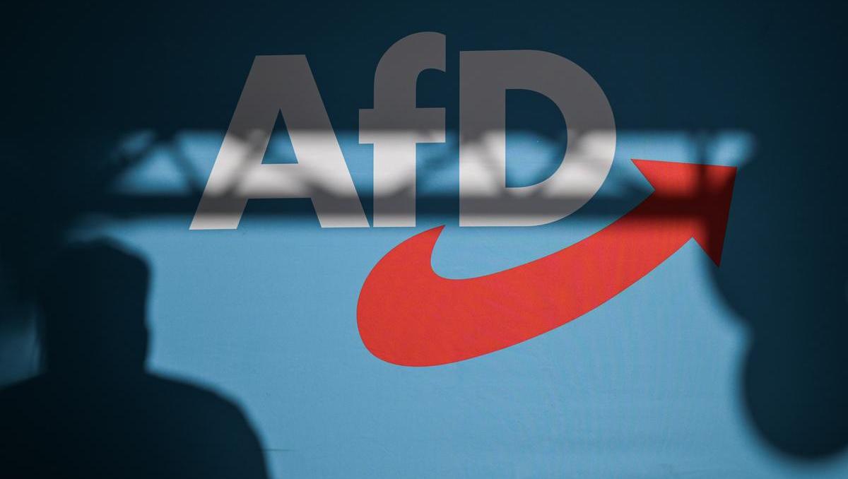 AfD verhilft CDU-Anträgen in Europaparlament zu Mehrheit