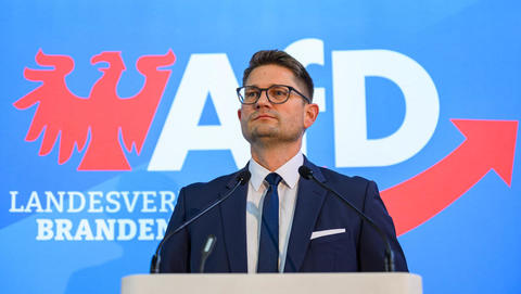 AfD Brandenburg ebenfalls als gesichert rechtsextrem eingestuft - nach Rausschmiss vom Verfassungsschutzchef 