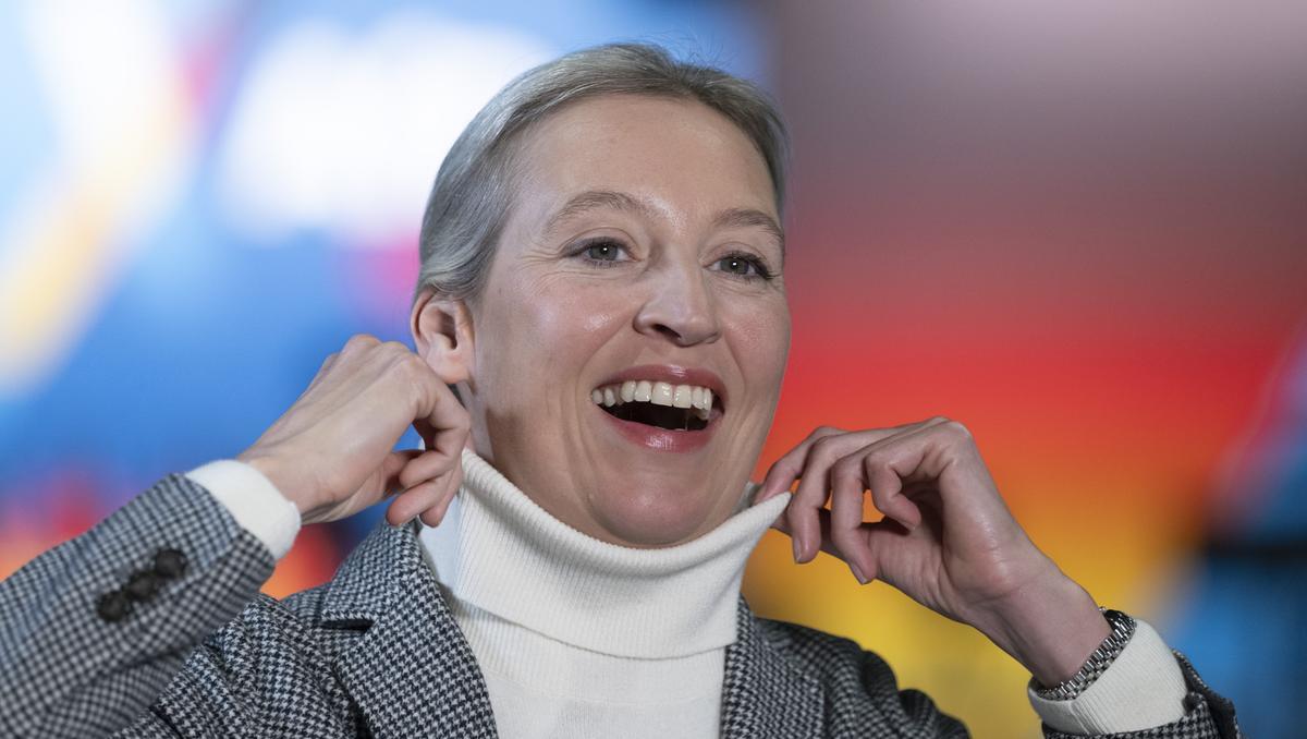 Weidel zu Windrädern: Das mit dem Abriss war so nicht gemeint