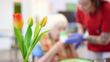 Insolvenzwelle bei Pflegeheimen: 1264 Pflegeeinrichtungen insolvent oder geschlossen