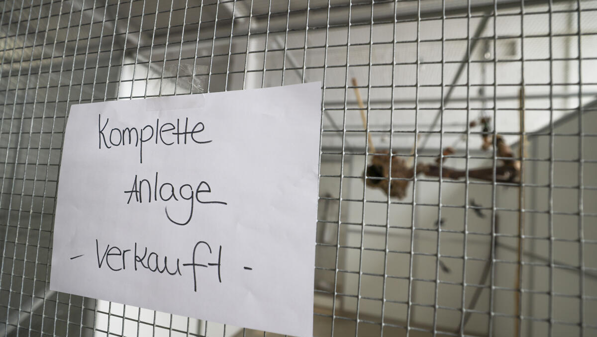 Unternehmensinsolvenzen treiben die Weltwirtschaft in den Stresstest