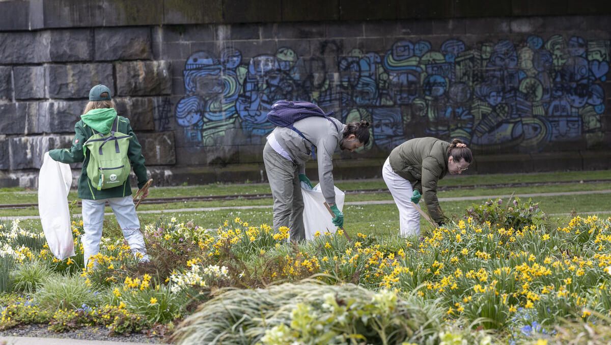 Touristenattraktion: Berlin-Besucher werden künftig fürs Müllsammeln belohnt