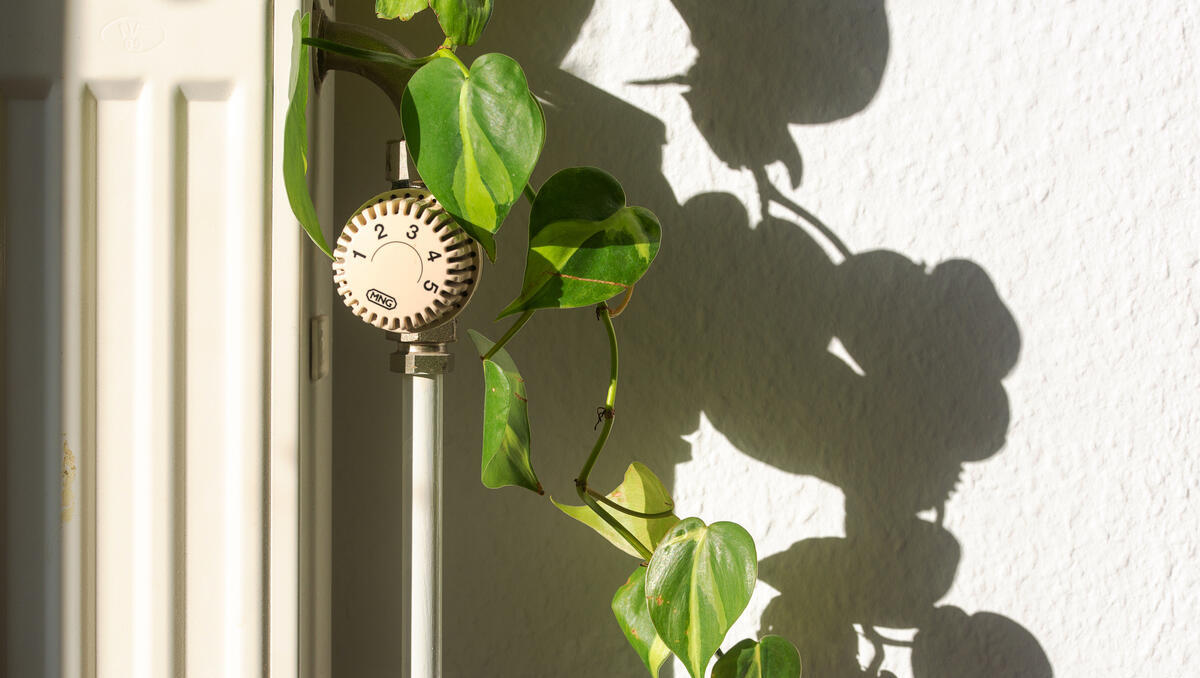 Reiche kündigt mögliche Kürzungen bei der Heizungsförderung an