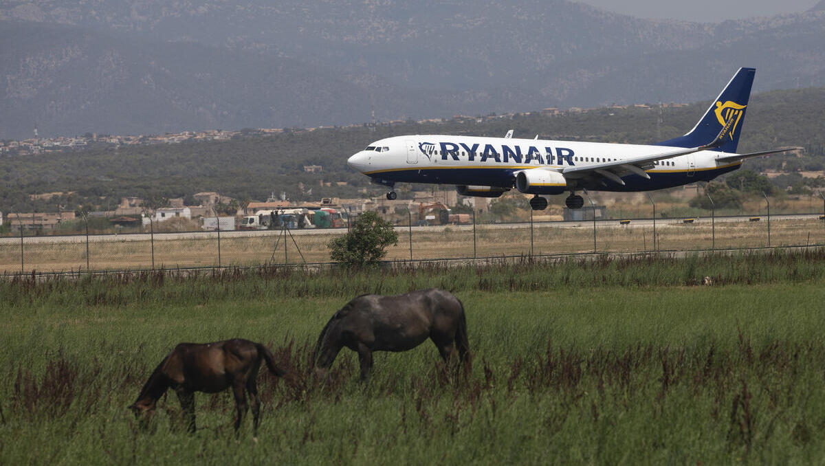 Abwanderung von Fachkräften: Immer mehr deutsche Arbeitnehmer verlassen ihr Heimatland