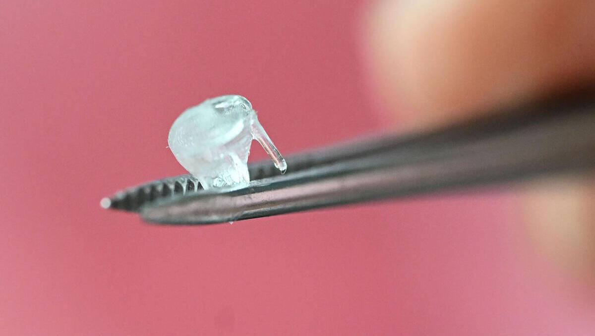 Bioprinting: Wie 3D-gedruckte Gewebe die Medizin revolutionieren