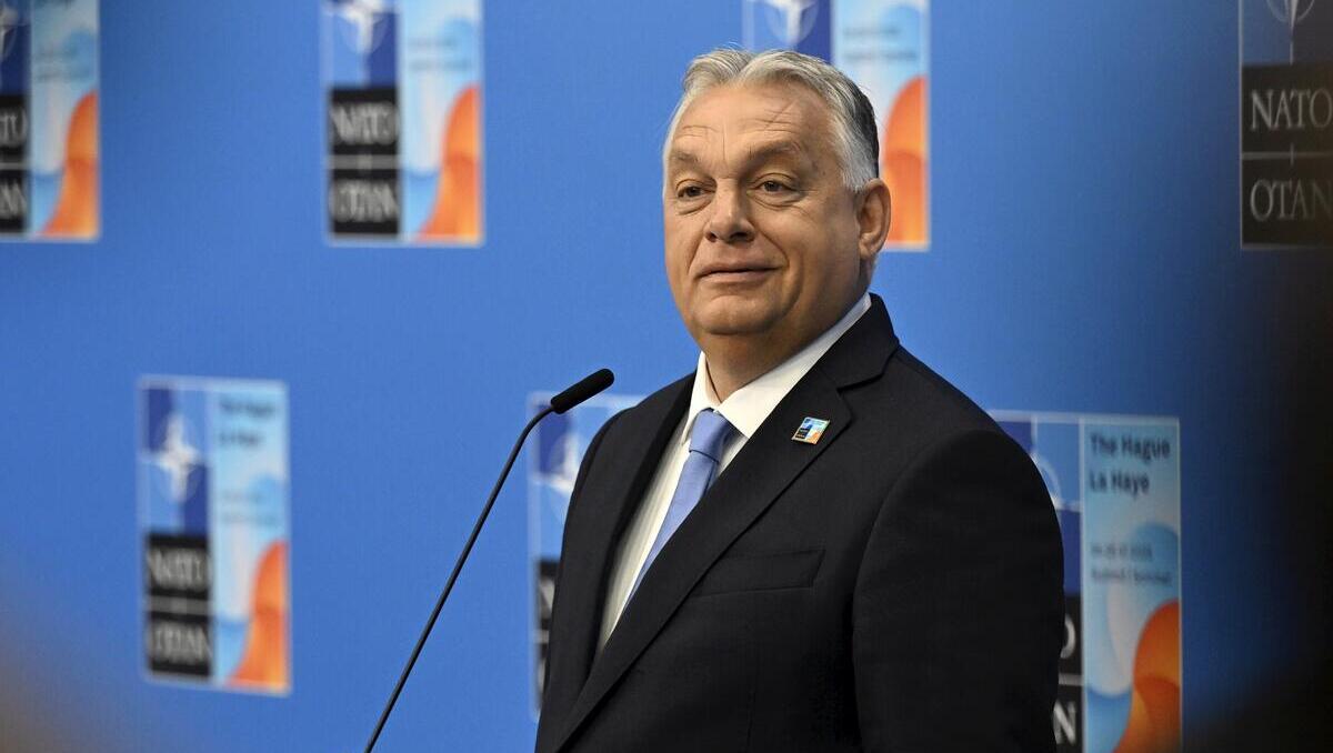 Treffen in Budapest? Ukraine-Gipfel könnte bei Ungarns Regierungschef Orban stattfinden 