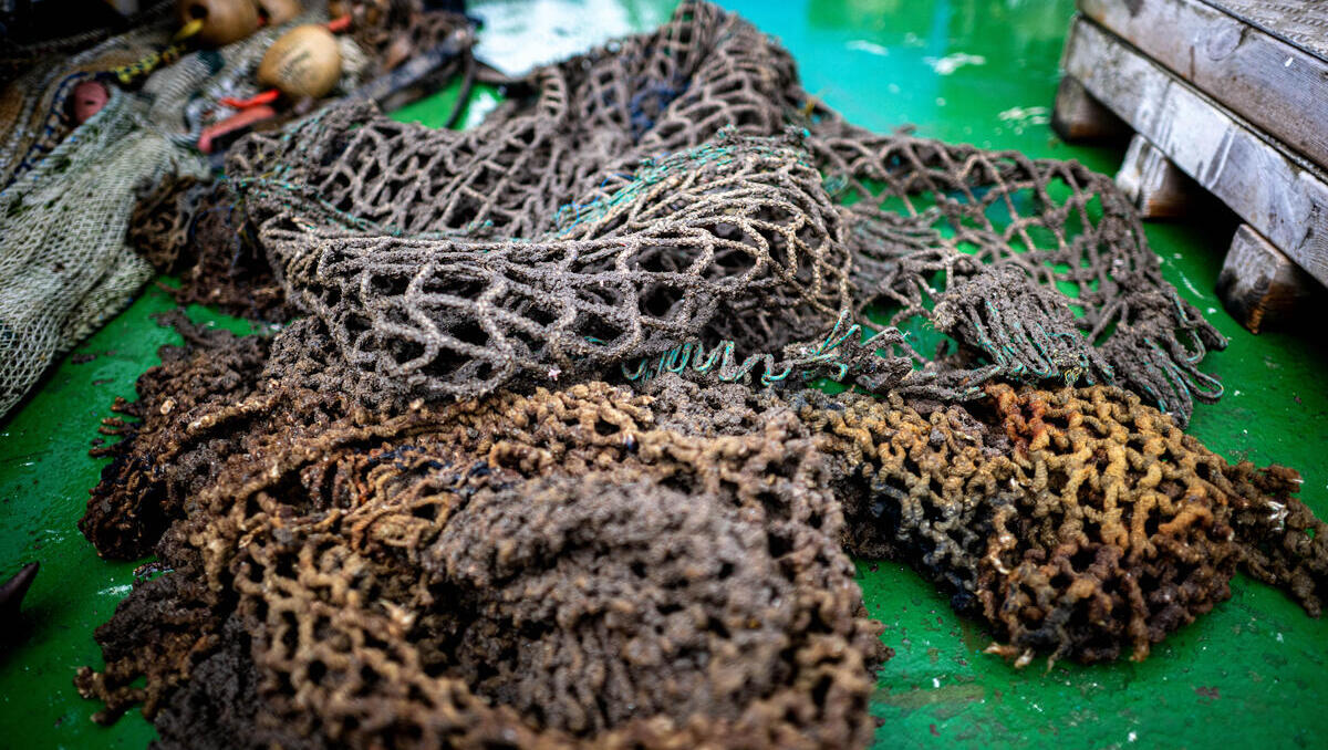 Weltweites Verbot schädlicher Fischereisubventionen tritt in Kraft