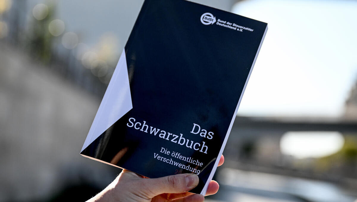 Schwarzbuch der Steuerzahler: Unglaubliche Fälle von Steuerverschwendung