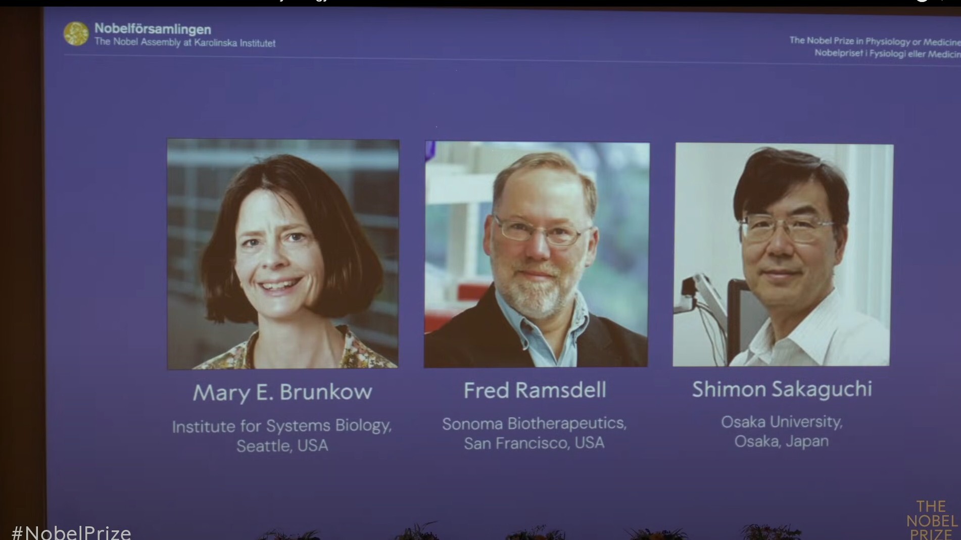 Nobelpreis für Medizin: Revolutionäre Immunforschung aus Japan und den USA