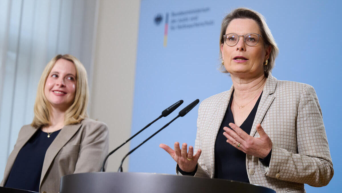 Baukosten: Bund will Bauen günstiger und schneller machen