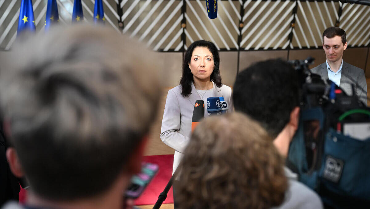 Absprache mit AfD im EU-Parlament: Reiche verweist auf andere