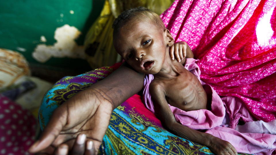 UN an Tech-Milliardäre: „Es ist an der Zeit, dass Sie den Hungernden dieser Welt helfen“