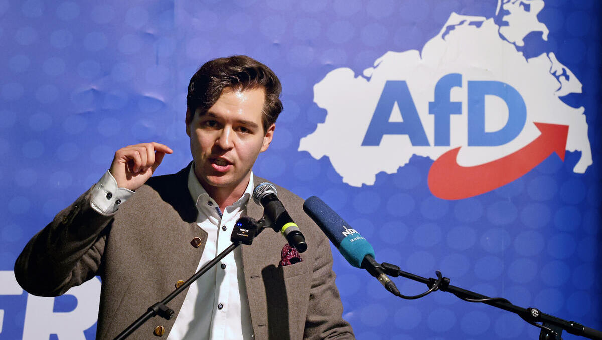 AfD-Wahlprogramm verabschiedet: Atomenergie, CO2-Aus und begrenzte Migration 
