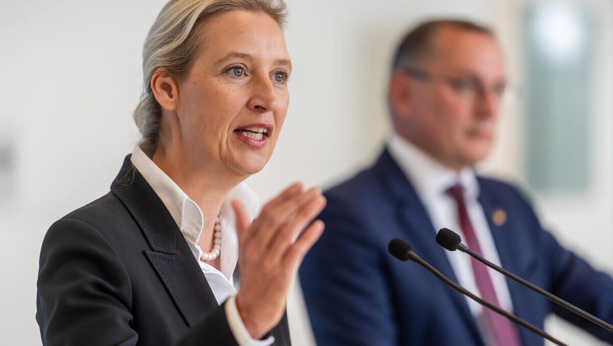 AfD baut Vorsprung aus: CDU/CSU und SPD historisch niedrig