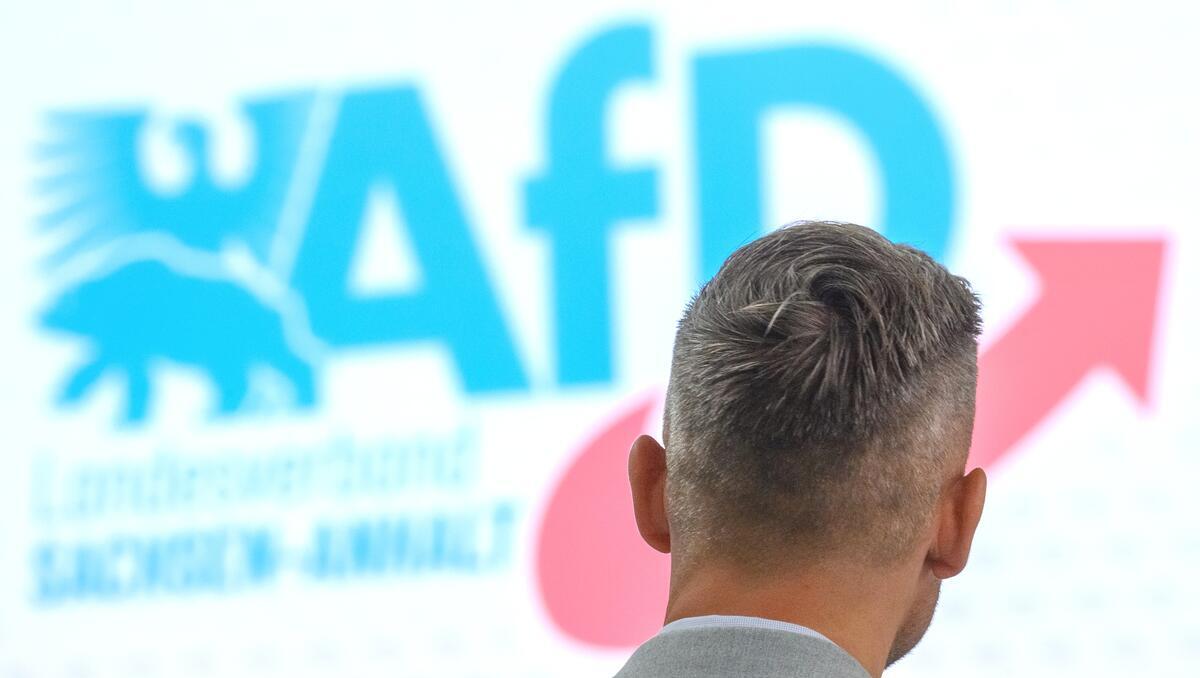 Wahlen im Osten: AfD bleibt in Sachsen-Anhalt klar vorn – kleinere Parteien legen zu