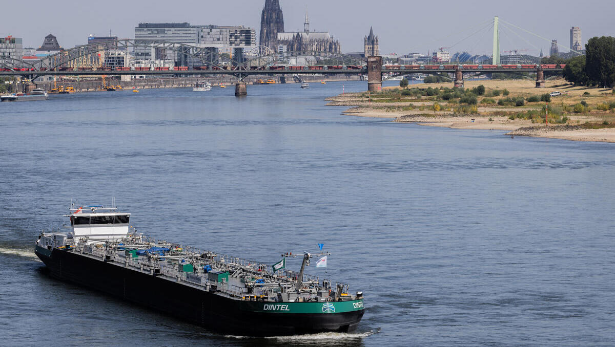 Rhein führt zu wenig Wasser: Niedrigwasser treibt Transportkosten