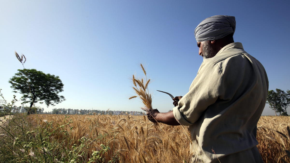 Zweitgrößter Weizen-Produzent der Welt stoppt den Export