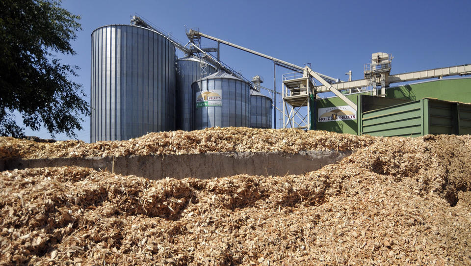 Staat fördert klimaschädliche Verbrennung von Biomasse