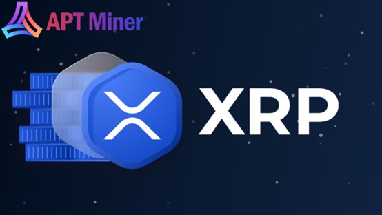 XRP- und Dogecoin-Investoren „wechseln die Spur“, APT Miner wird zum neuen sicheren Hafen