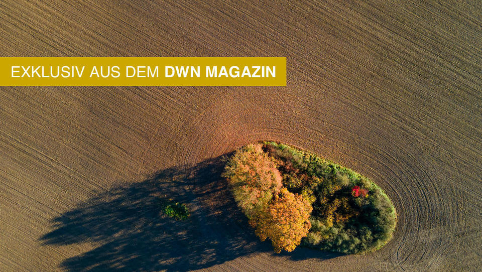 Investieren in Agrarland: Hohe Renditen - und das bei niedrigem Risiko