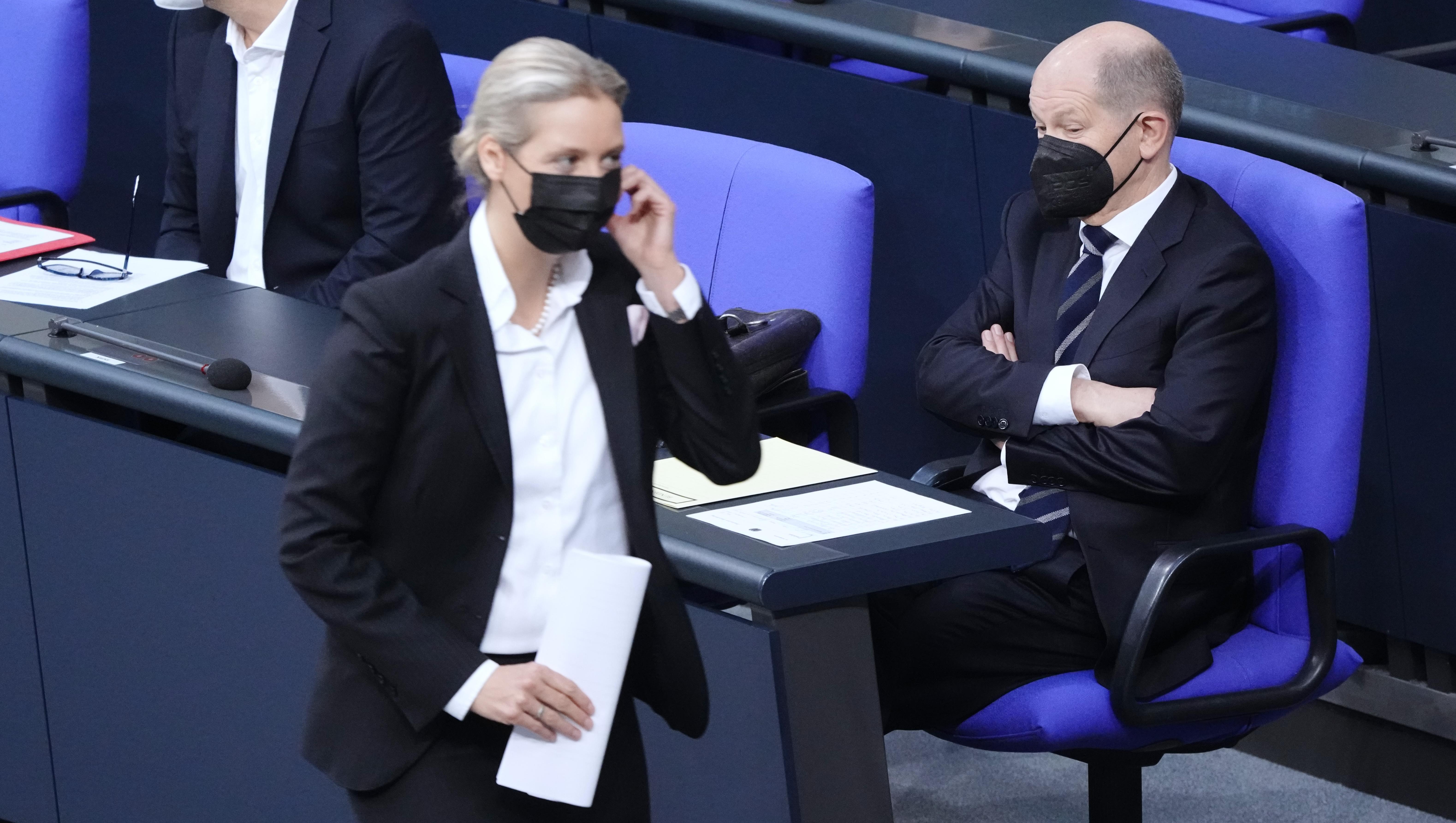 Altparteien verweigern der AfD die Leitung von Ausschüssen im Bundestag