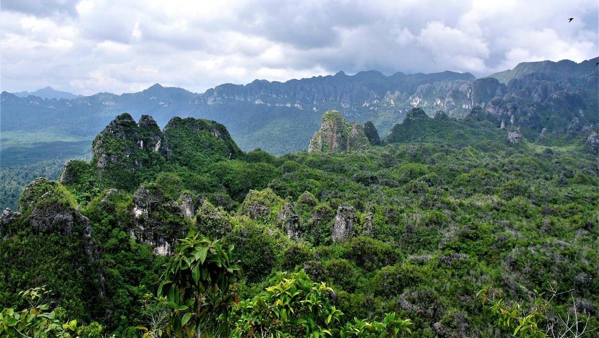 Penambangan nikel mengancam hutan hujan Indonesia