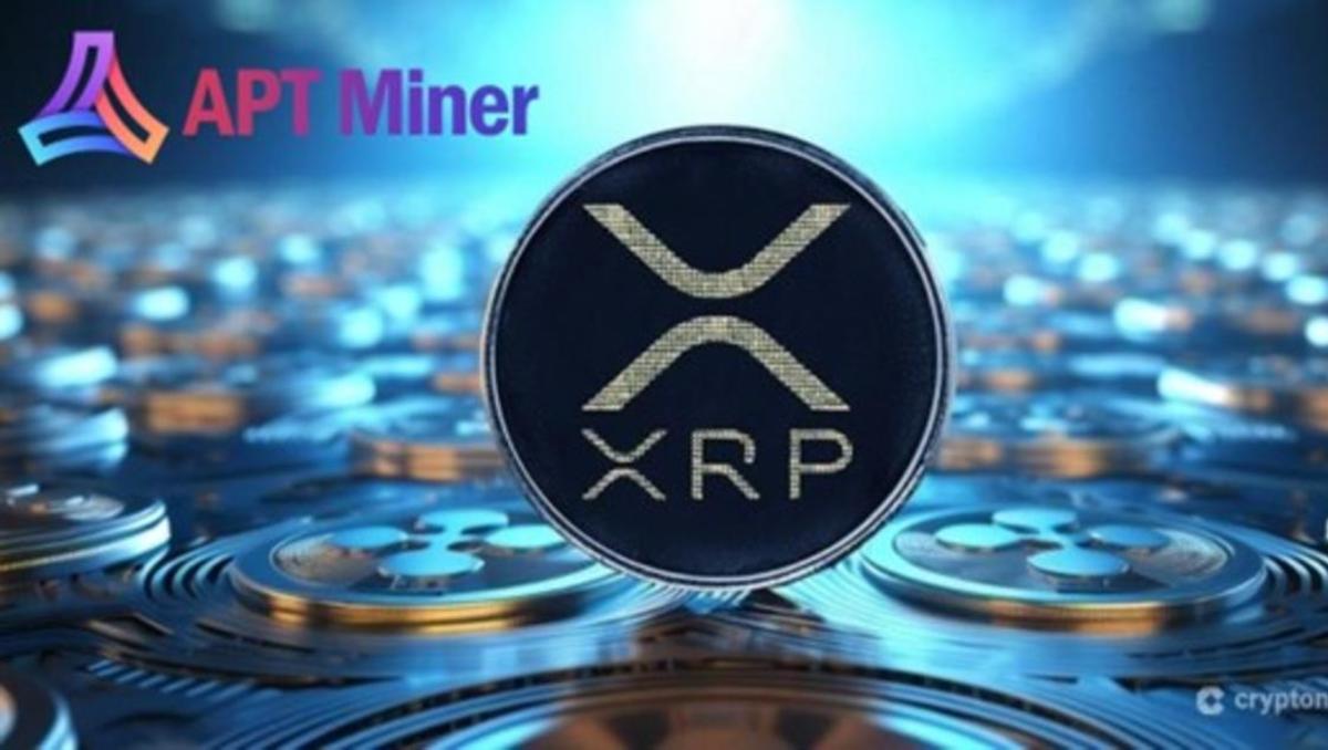 Immer mehr XRP- und DOGE-Inhaber wenden sich an APT Miner, um problemlos 4.800 US-Dollar pro Tag zu verdienen