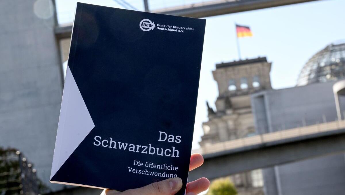 Schwarzbuch 2026/27: Vom Rotlicht-Container zum Tapetenmuseum 