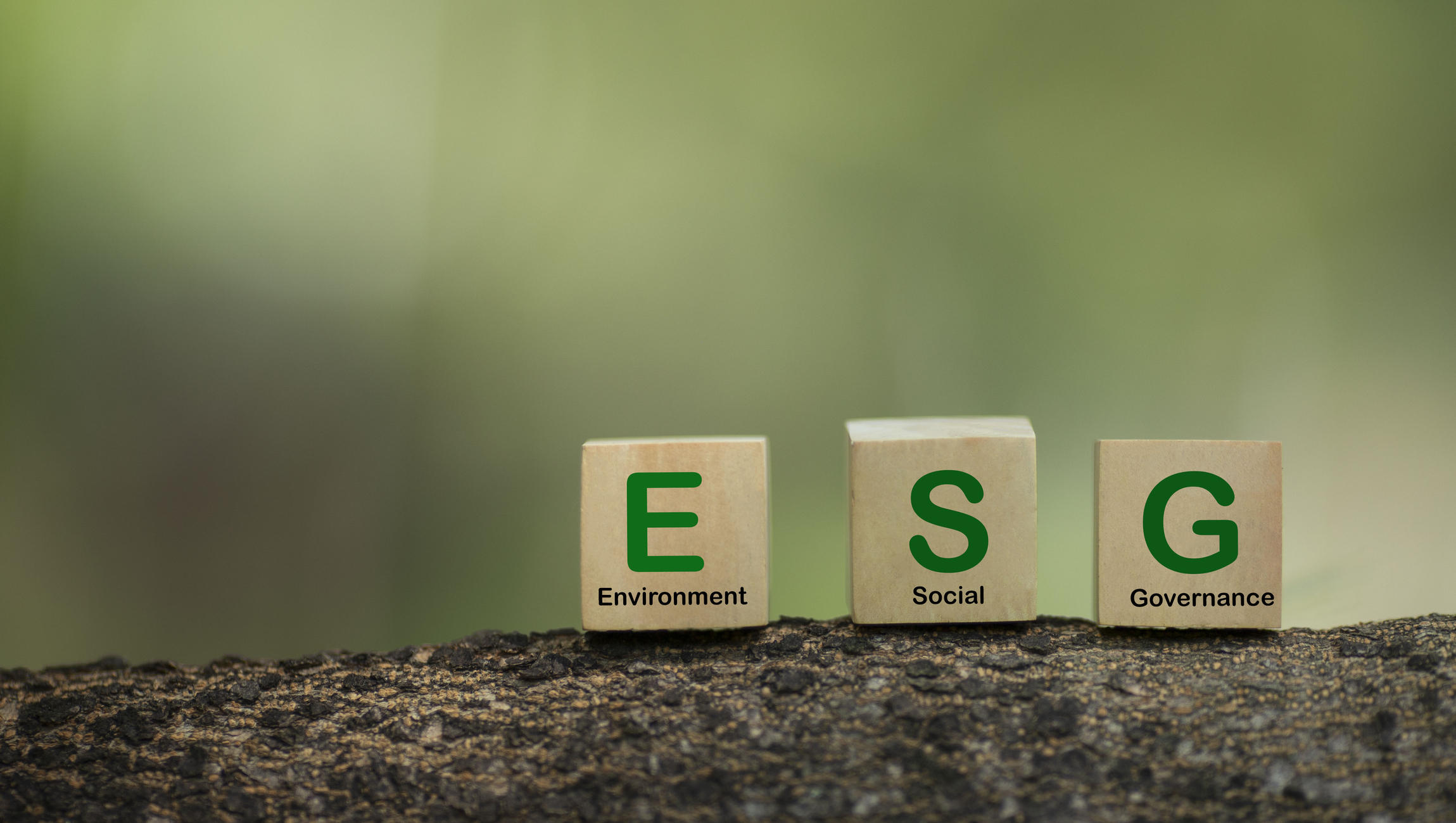 ESG-Regulierung nimmt weiter zu – aus der Wirtschaft hagelt es Kritik