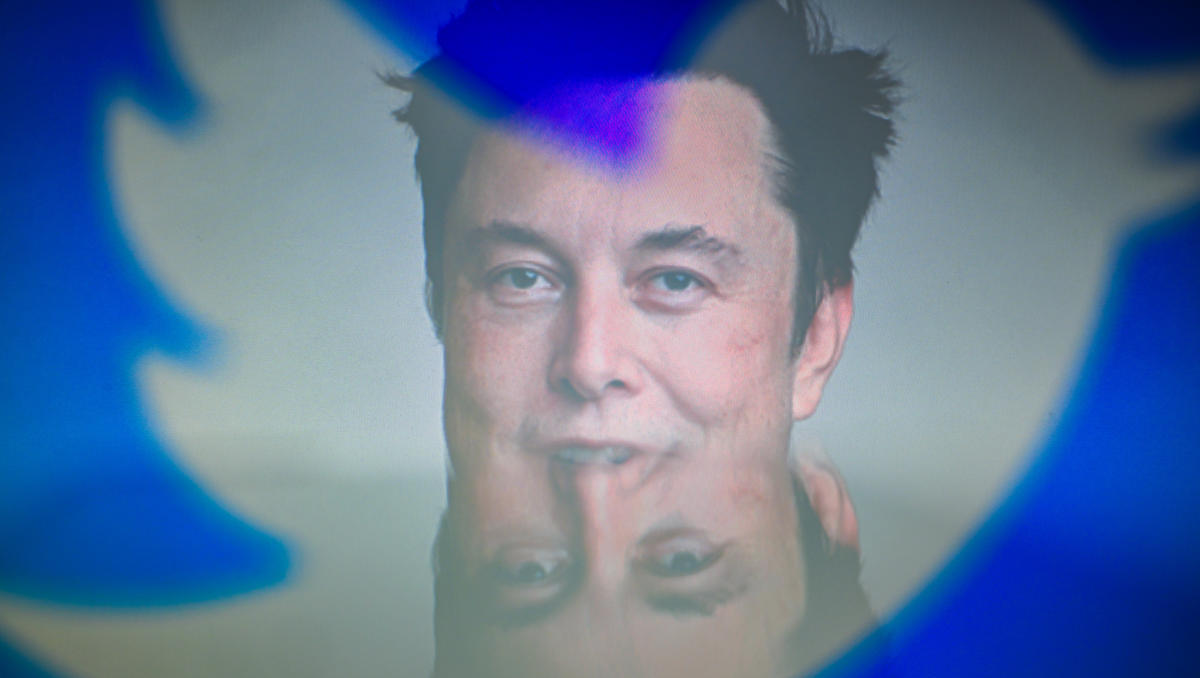 Elon Musk verspricht „Amnestie“ für gesperrte Twitter-Konten