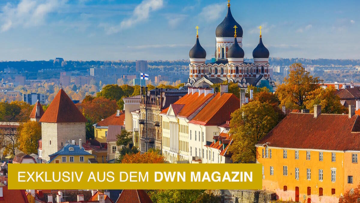 Digitalisierung: Was Deutschland von Estland lernen sollte