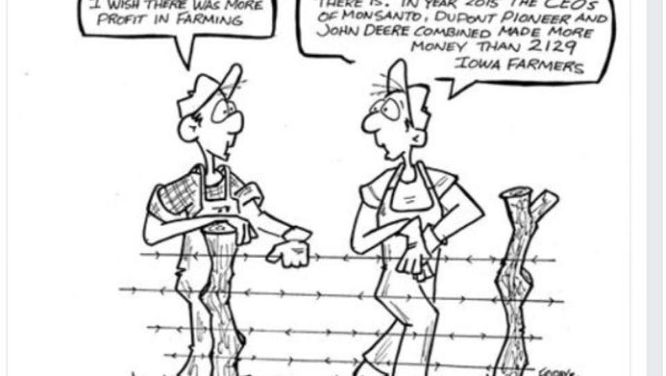USA: Cartoonist wegen kritischer Saatgut-Karikatur gefeuert