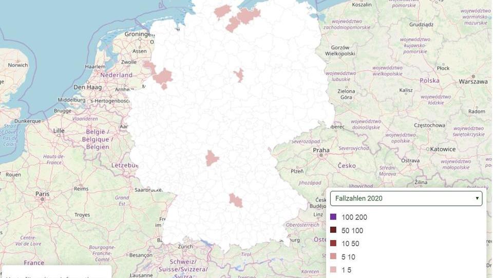 Deutschland: Bisher 29 Personen mit Hanta-Virus infiziert