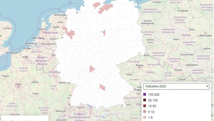 Deutschland: Bisher 29 Personen mit Hanta-Virus infiziert