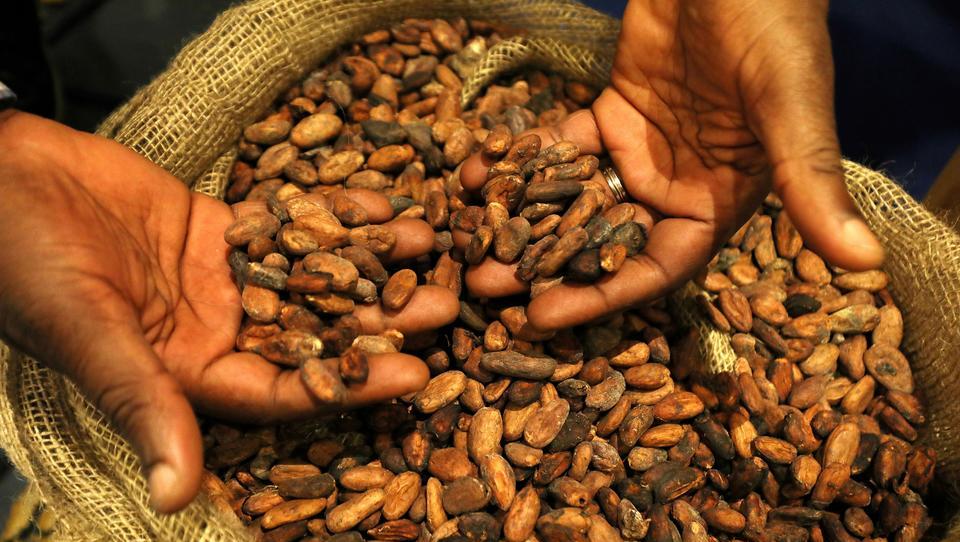 Corona stürzt den Kakao-Preis in einen Bärenmarkt 