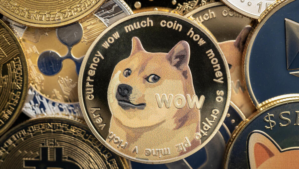 Memecoin im Faktencheck: Warum eine langfristige Anlagestrategie wichtig ist
