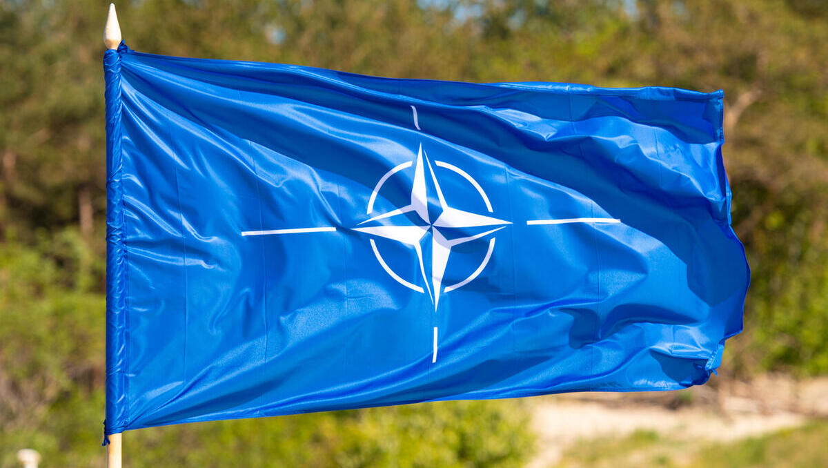NATO vor dem Zerfall: Topforscher warnt vor historischem Bruch