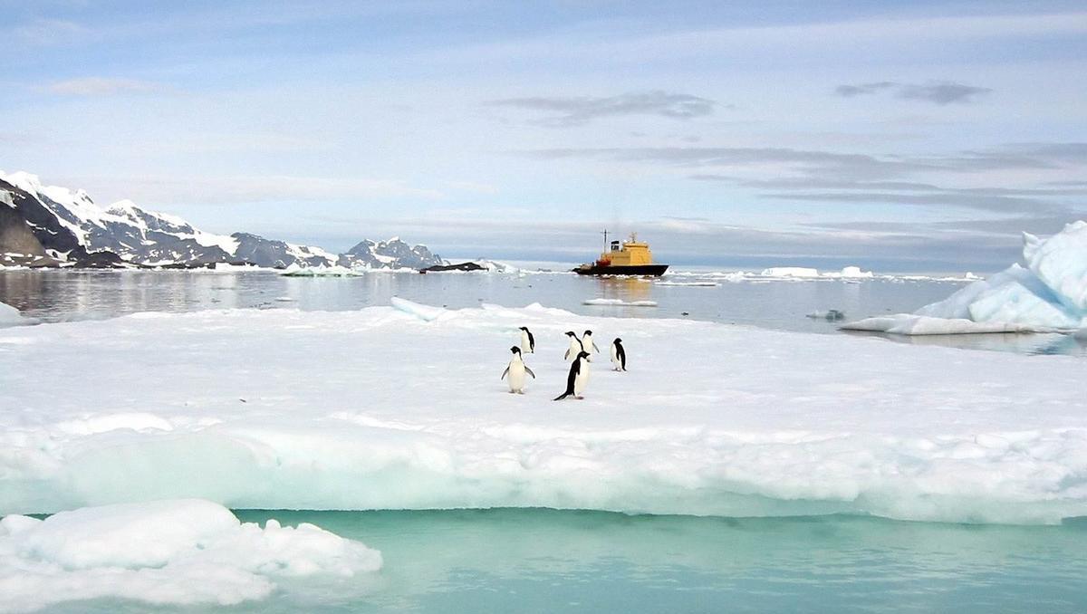 Russland lässt erstmals unverstärkte Öltanker durch Arktis fahren