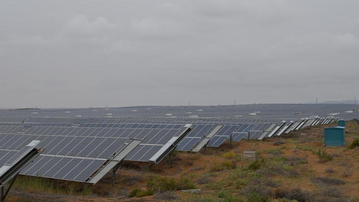 China: Solar schlägt Kohle, doch Ausbau verliert an Tempo