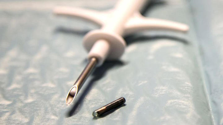 Schweden lassen sich RFID-Chips unter die Haut setzen