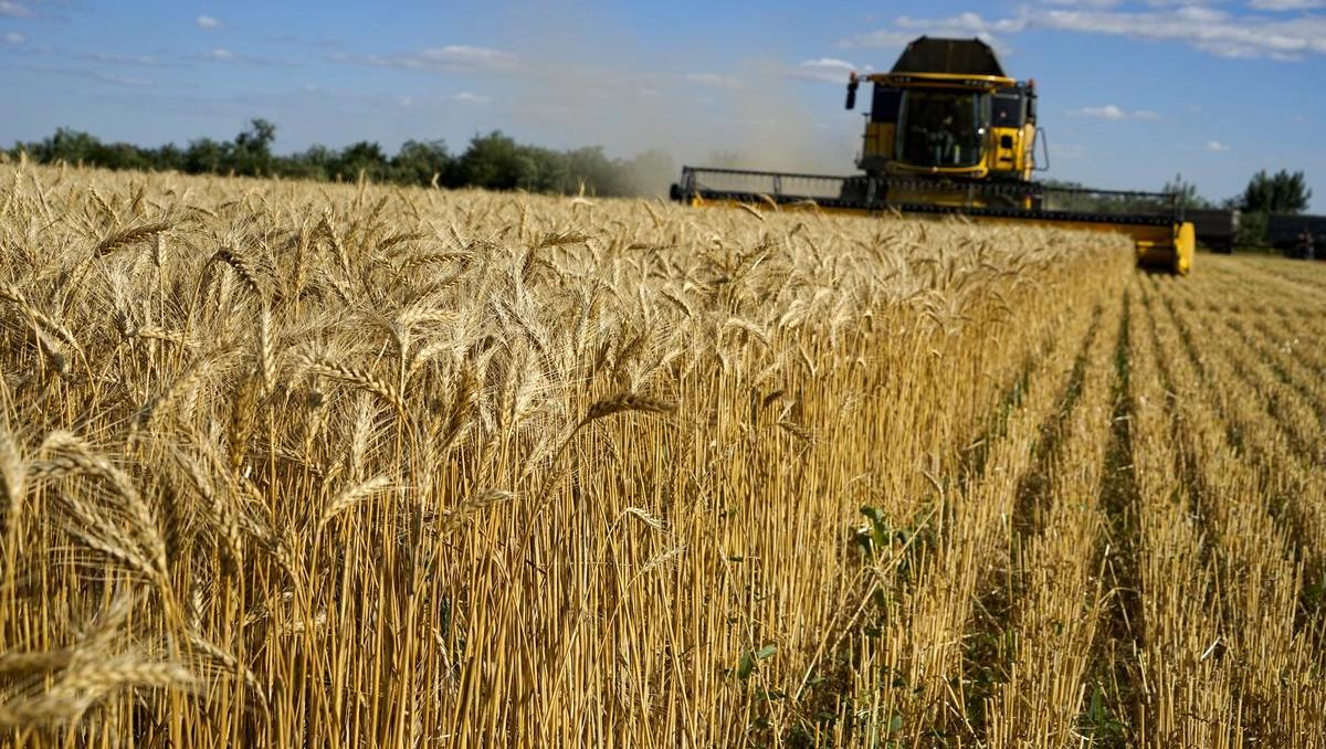 Zollschock für Ukraine – EU will Agrarimporte drastisch begrenzen