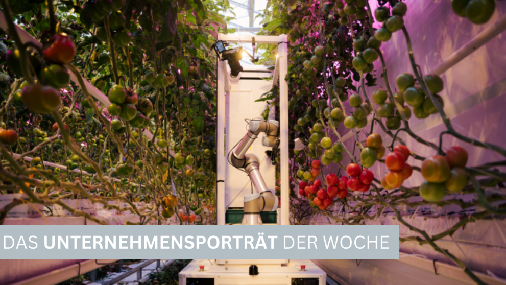 Eternal.ag: Kölner Start-up automatisiert die Tomatenernte