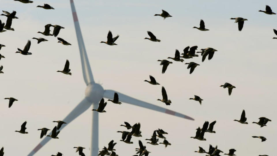 Siemens Gamesa zieht mit neuem Großauftrag deutsche Windparkbranche aus der Talsohle