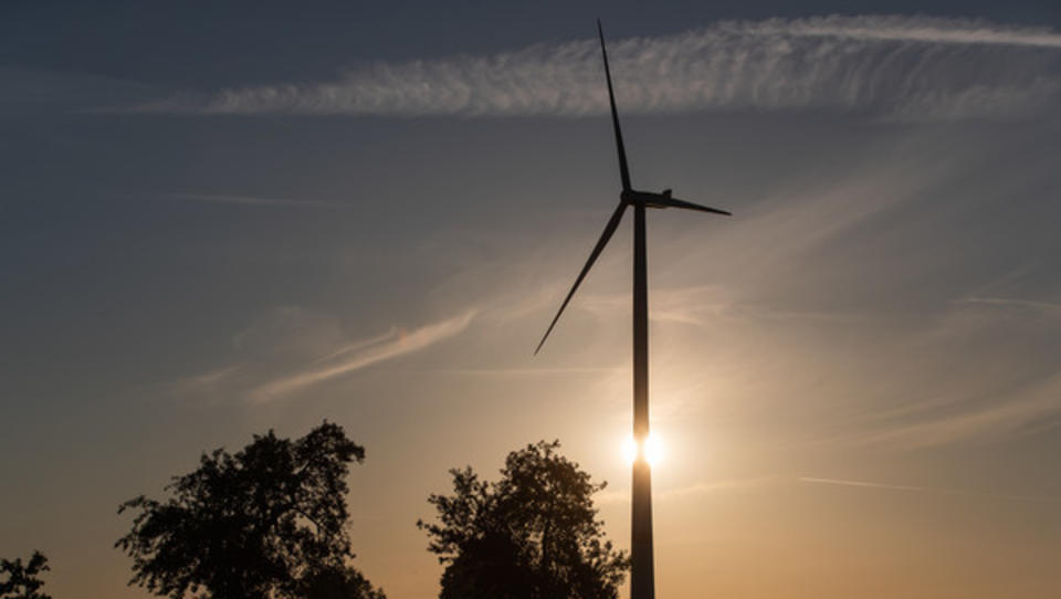 Apple baut in Dänemark gigantischen Windpark - größer als der Kölner Dom 