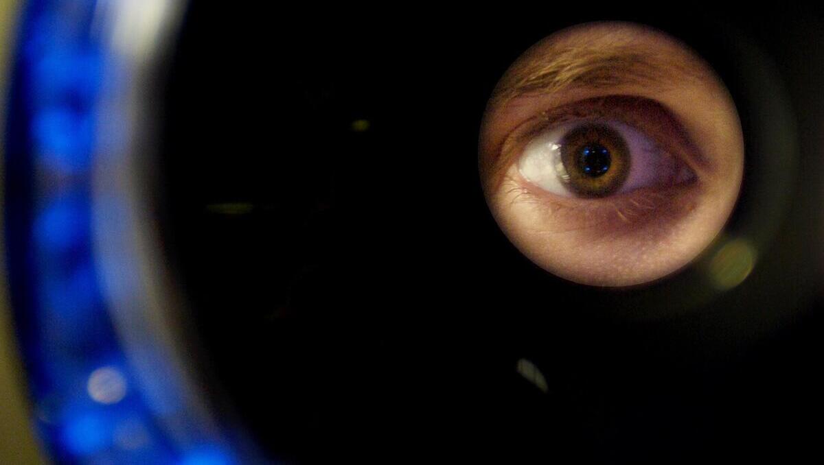 Biometrie-Panne: Die gefährlichste Rolle ist der Zwilling