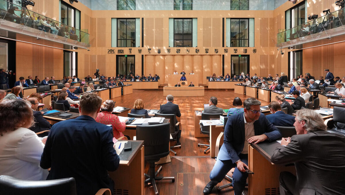 AfD vor Wahlsieg in Sachsen-Anhalt? So bereitet sich der Bundesrat darauf vor