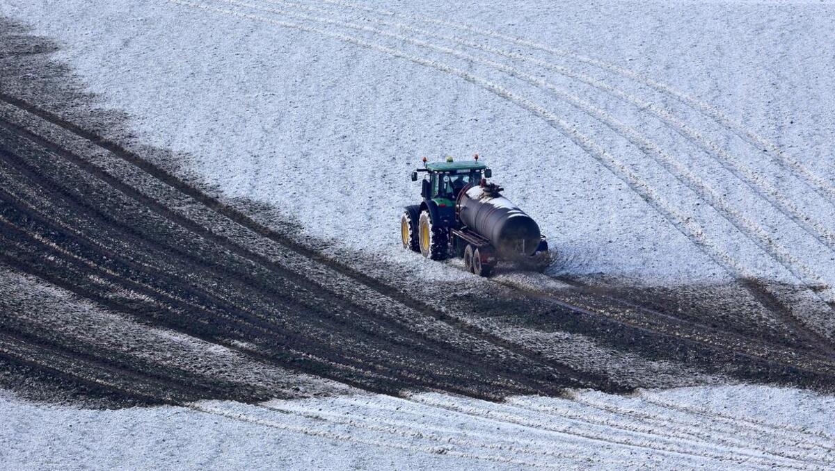 Düngemittel-Lobbyisten tummeln sich in Belarus