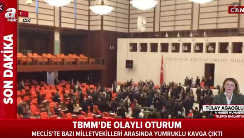 Massenschlägerei im türkischen Parlament wegen Syrien - Das Video 