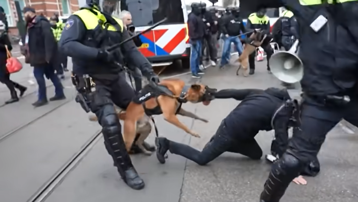 Niederlande: Polizei setzt erstmals bissige Hunde gegen Corona-Demonstranten ein